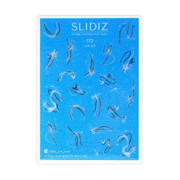 Слайдер-дизайн Slidiz 172 Біла вуаль із золотом